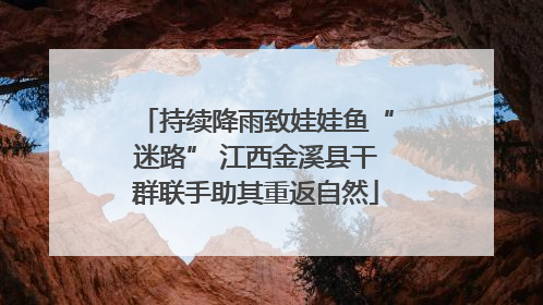 持续降雨致娃娃鱼“迷路” 江西金溪县干群联手助其重返自然